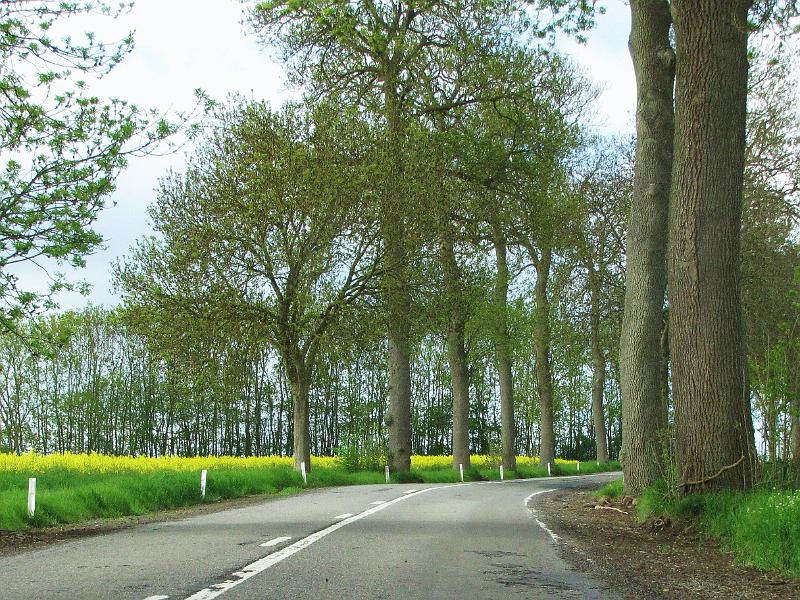 1st Belgian Octagon Tour - dag2 (37).JPG